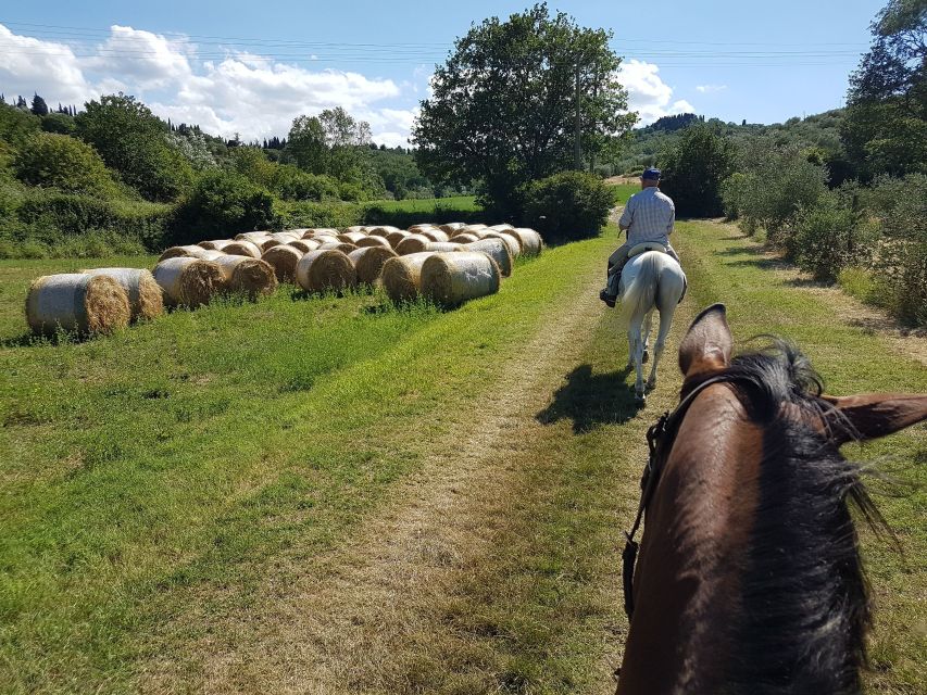 From Florence: Horseback Ride and Olive Oil and food tasting - Starting Point in Florence, and How the Day Gets Moving