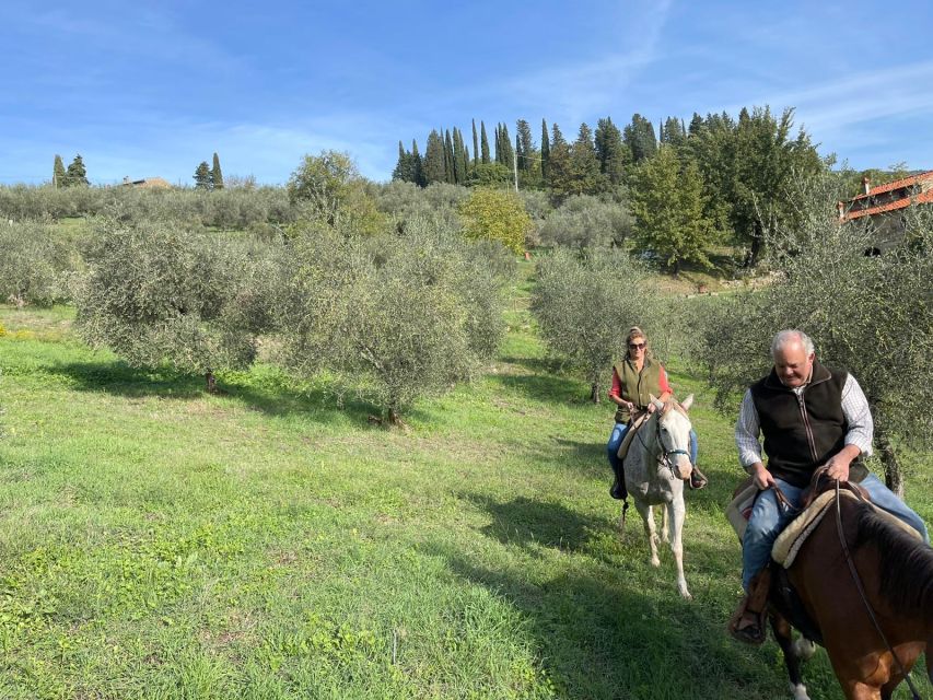 From Florence: Horseback Ride and Olive Oil and food tasting - Tour Time at the Manor and Olive Presses