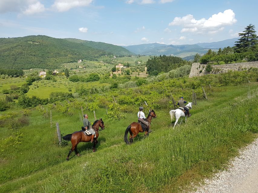 From Florence: Horseback Ride and Olive Oil and food tasting - Guided Olive Oil Tasting: How to Judge Quality