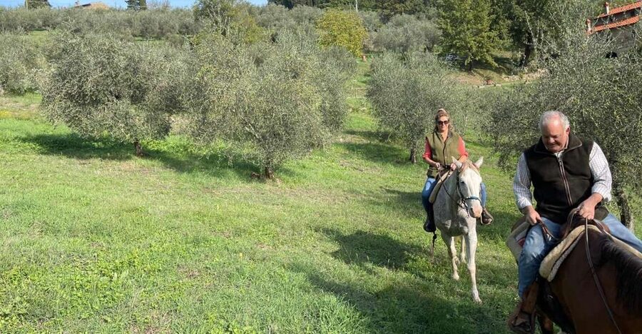 From Florence: Horseback Ride and Olive Oil and food tasting - The Transfer to the Chianti Hills: What You Gain By Not Driving