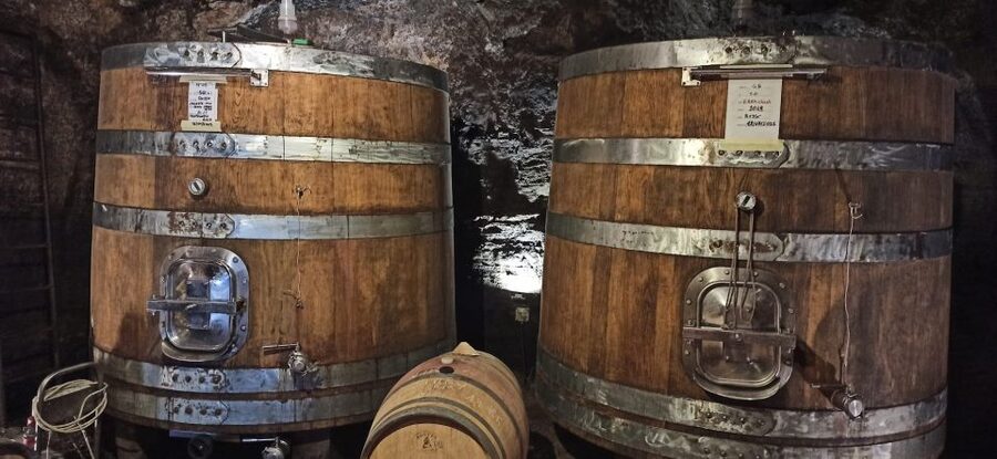 From Florence: Pisa/Chianti Half Day Tour with Wine Tasting - From Florence to Pisa, the smart way to save time