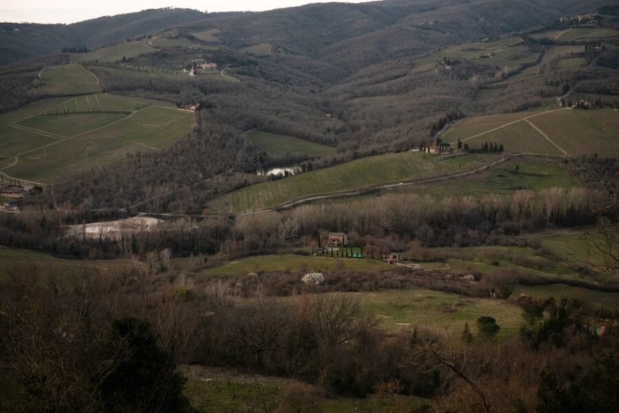 From Florence: Private Chianti Hills Tour with Tasting - Radda wine shop tasting: three wines plus local plates