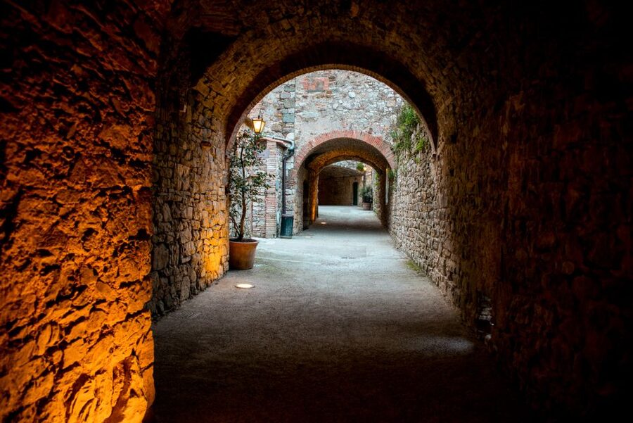 From Florence: Private Chianti Hills Tour with Tasting - The Chianti winery visit: tour the cellar, then taste again