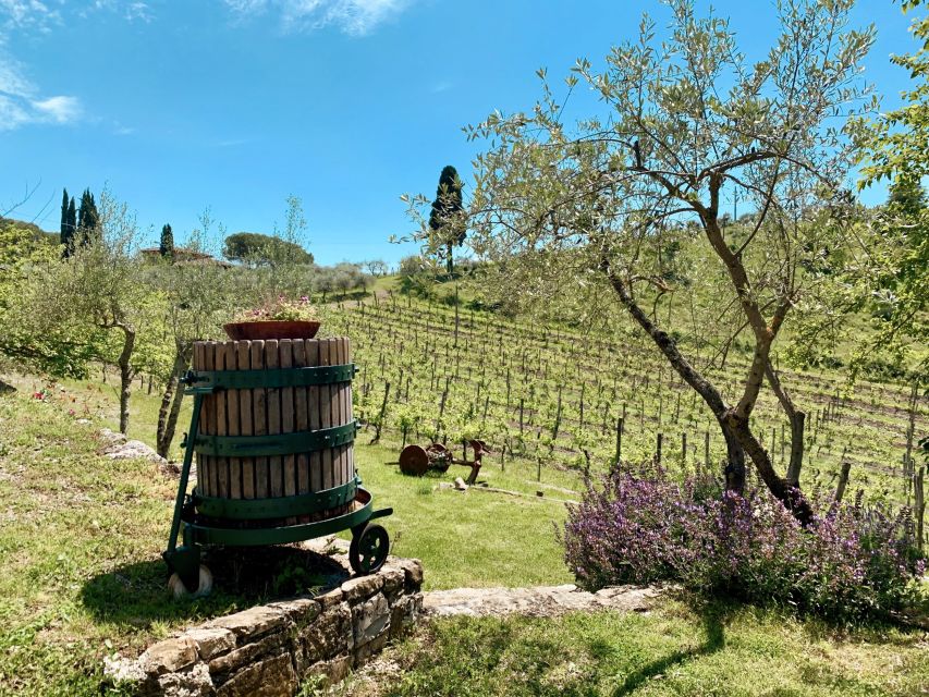 From Florence: Private Chianti Hills Tour with Tasting - Price and value: what $1,166 buys you (and when it might feel steep)