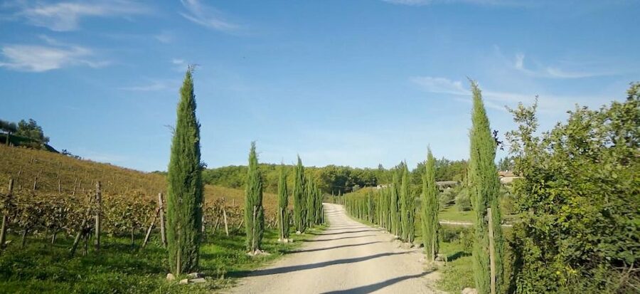From Florence: Private Half-Day Chianti Tour & Wine Tasting - Key Highlights at a Glance