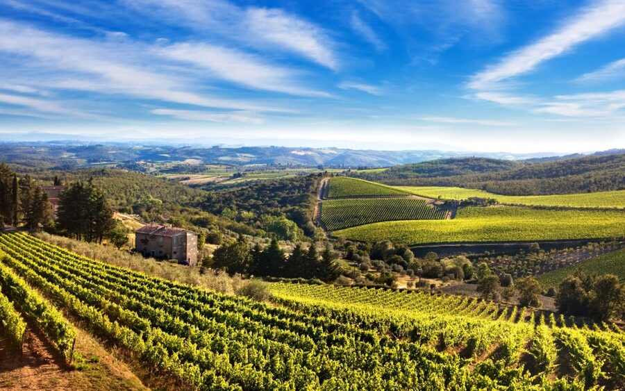 From Florence: Private Half-Day Chianti Tour & Wine Tasting - Why This Private Chianti Half-Day Works So Well