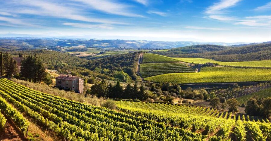 From Florence: Private Half-Day Chianti Tour & Wine Tasting - Price and Value: Is $330 Per Person Fair for What You Get?