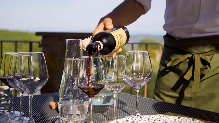 From Florence: Private Half-Day Chianti Tour & Wine Tasting - Meeting in Florence: Pickup Times and How the Tour Team Really Functions