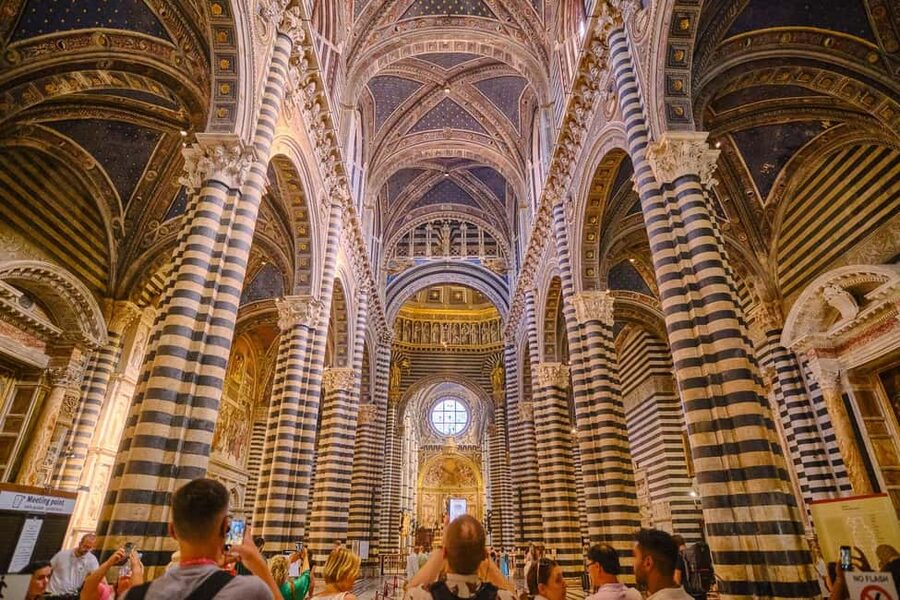 From Florence: Private Pisa, Siena and San Gimignano Trip - What the chauffeur’s role means for your day