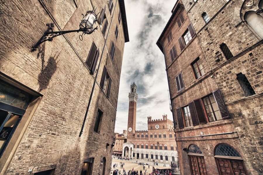 From Florence: Private Siena, San Gimignano + wine tasting - San Gimignano for Towers and Independent Browsing