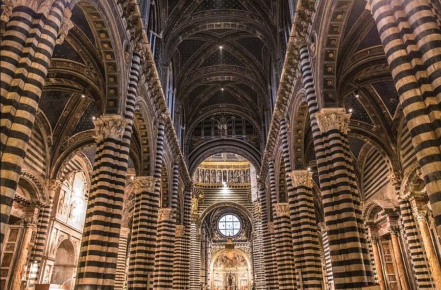 From Florence: Private Siena, San Gimignano + wine tasting - The Winery Stop: Vernaccia White Wine and Olive Oil Tasting