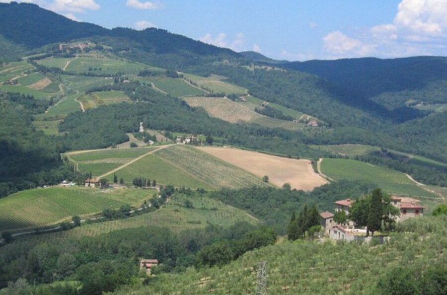 From Florence: Private Wine Tasting Tour in Chianti - A few smart prep tips before you go