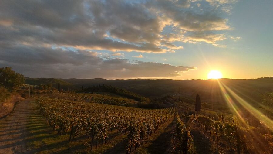 From Florence: Private Wine Tasting Tour in Chianti - From Florence to Chianti in a luxury car, with less hassle