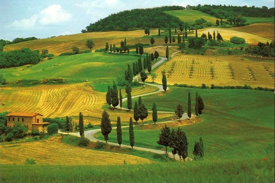 From Florence: Private Wine Tasting Tour in Chianti - Olive oil tasting, plus local products that taste like the region