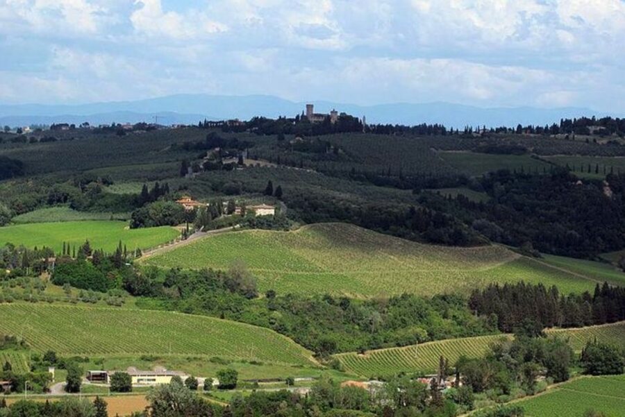 From Florence: Private Wine Tasting Tour in Chianti - What you get included, and why the price can make sense