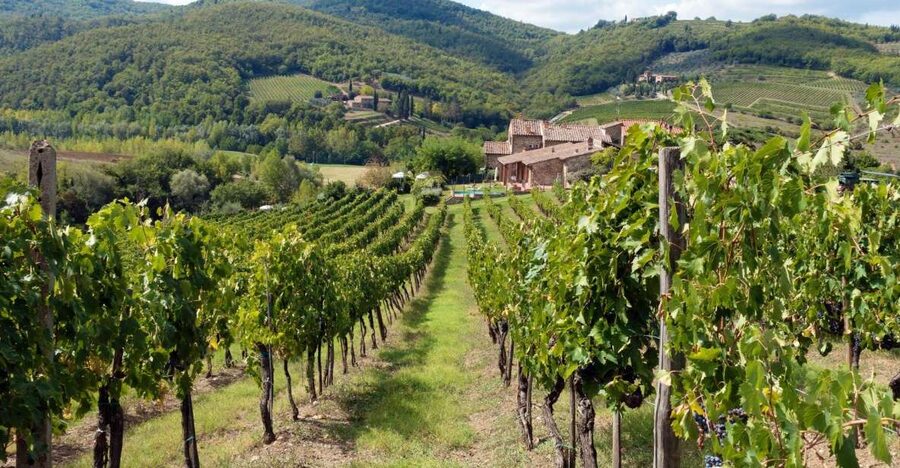 From Florence: Private Wine Tasting Tour in Chianti - Timing, weather, and how to plan the rest of your day