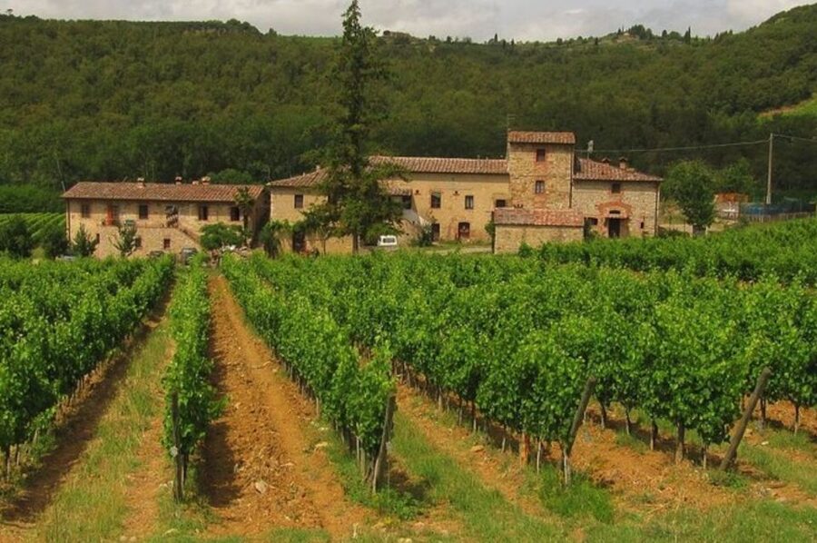 From Florence: Private Wine Tasting Tour in Chianti - Who this private Chianti wine tasting is best for