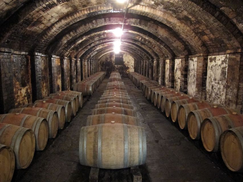 From Florence: Private Wine Tasting Tour in Chianti - The Chianti lesson: Sangiovese, ruby blends, and hillside character
