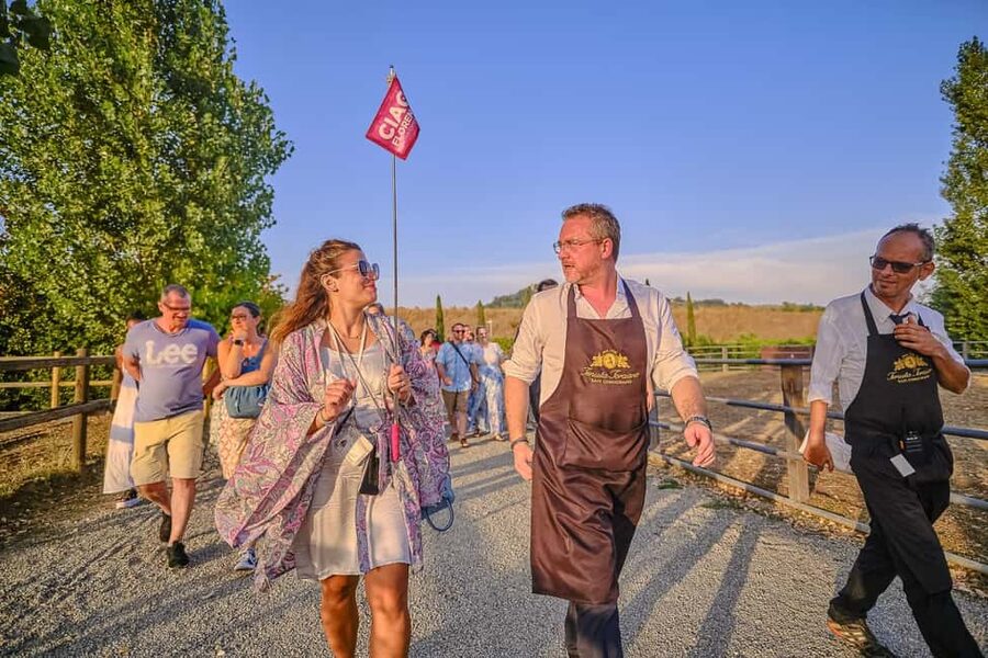 From Florence: Siena and Chianti Day Trip with Dinner - The drive to Chianti: what the countryside adds, and what it costs