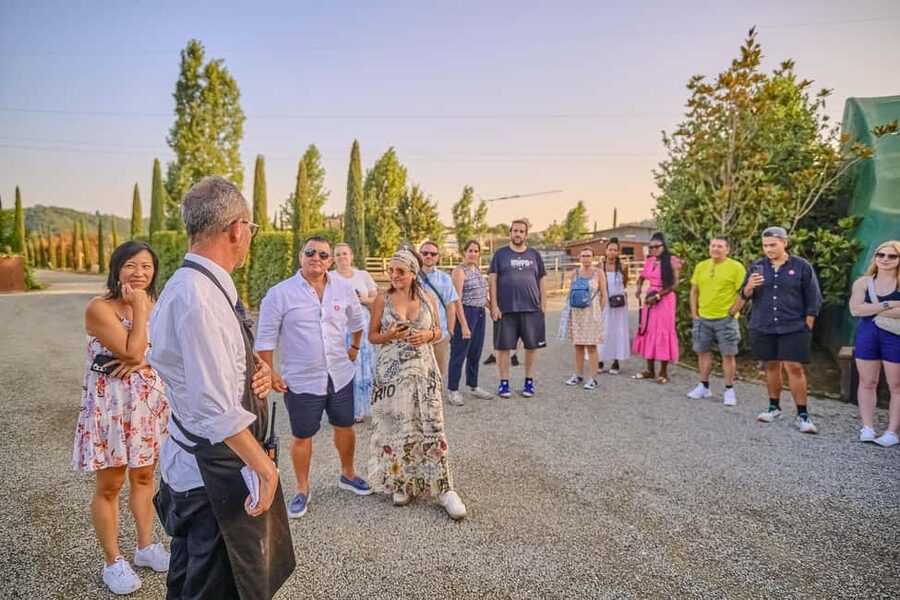 From Florence: Siena and Chianti Day Trip with Dinner - Price and value check: is $80.55 fair for Siena, dinner, and wine?