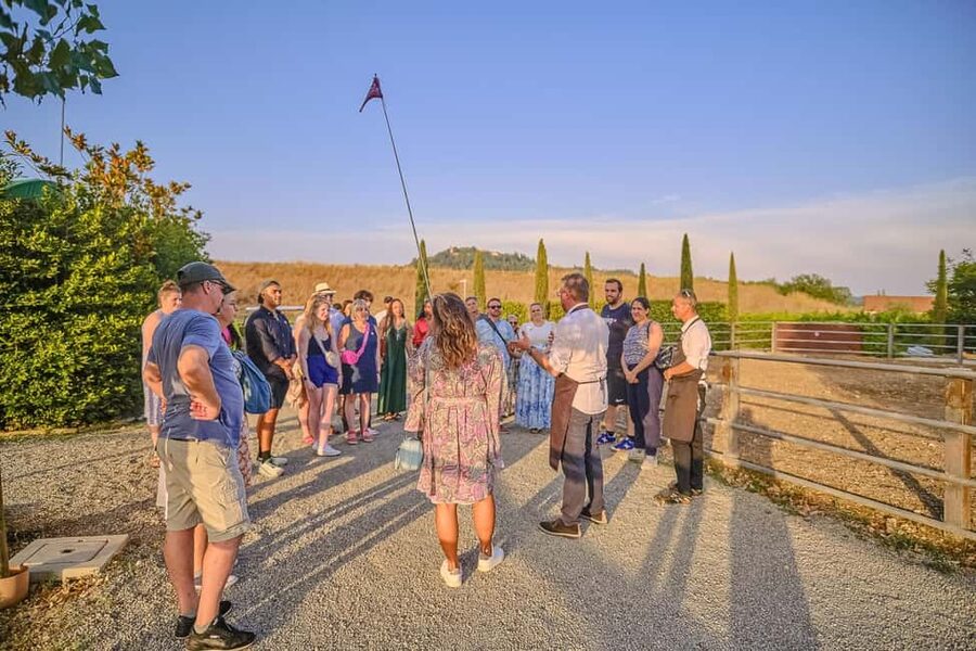 From Florence: Siena and Chianti Day Trip with Dinner - Who should book this Siena and Chianti day trip