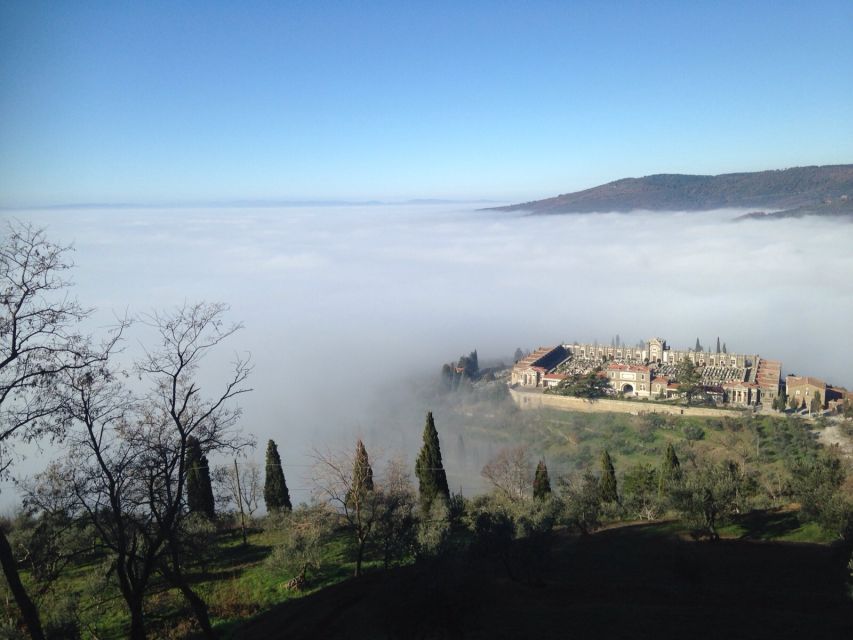 From Florence: Siena, Cortona, Montepulciano & Val D'Orcia - Montepulciano: walled town vibes plus DOCG wine under the cellar lights