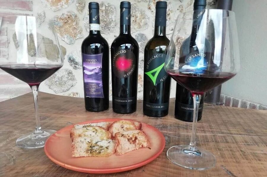 From Florence: Siena & San Gimignano Tour with Wine & Lunch - What you really get for about $85: value you can feel