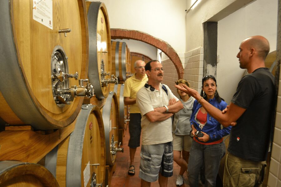 From Florence: Small-Group Chianti Wine Tour 2024 - Who this Chianti tour is best for