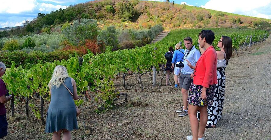 From Florence: Small-Group Chianti Wine Tour 2024 - Leaving Florence, getting the Chianti rhythm fast