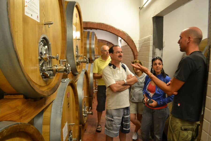 From Florence: Small-Group Chianti Wine Tour 2024 - The minivan ride and the Florence return, why it matters