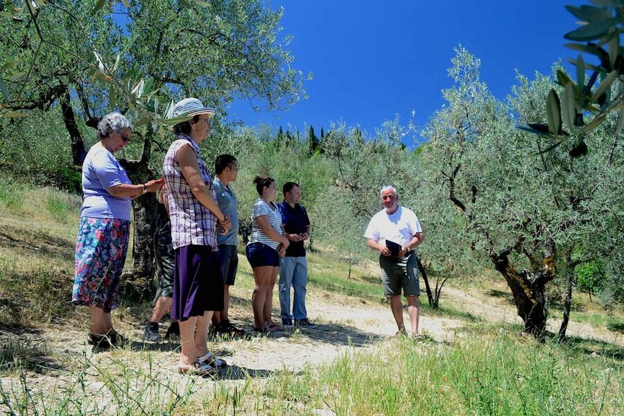 From Florence: Small-Group Chianti Wine Tour 2024 - Price and value for $283.21 per person