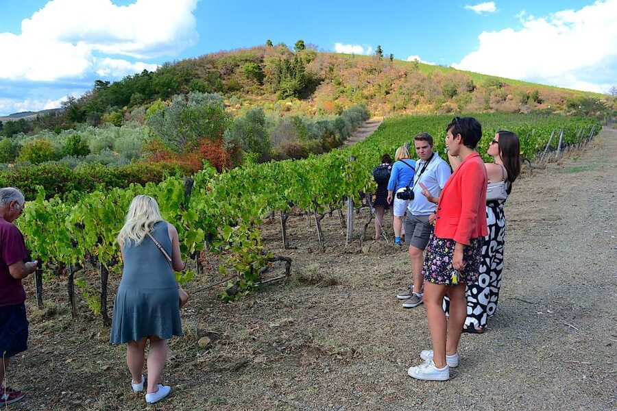 From Florence: Small-Group Chianti Wine Tour 2024 - Stop 1: Cellars, explanations, and a tasting lineup that teaches