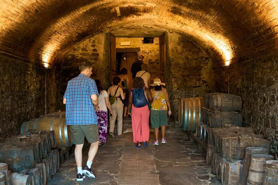 From Florence: Small Group Chianti Wine Tour with Lunch - Key Points I Think You’ll Care About