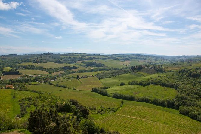 From Florence: Small-Group Tuscany Wine & Oil Tour with typical Tuscan Meal - Stop 2 in Greve in Chianti: a boutique winery and Chianti blends