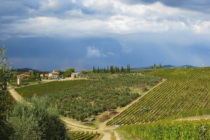 From Florence to Siena - San Gimignano & Pisa by private minivan - How much you really get for $623.62 per person