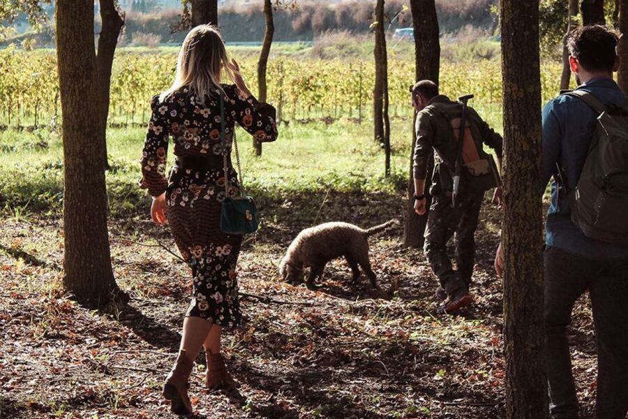 From Florence: Truffle Hunting with Lunch & Transportation - What to wear, how to plan, and weather reality