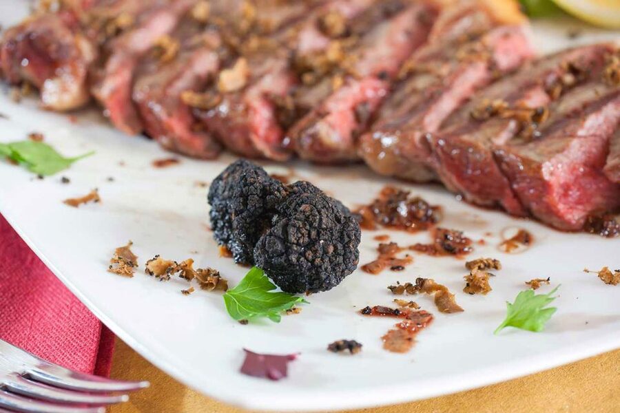 From Florence: Truffle Hunting with Lunch & Transportation - Should you book the Florence Truffle Hunting with Lunch & Transportation?
