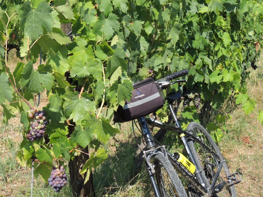 From Florence: Tuscan Hills Biking with Farm Tour and Lunch - The mostly-downhill return to Florence