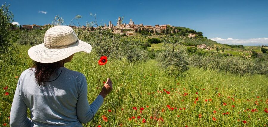 From Florence: Tuscany Highlights Full-Day Tour - Why this Tuscany day trip feels like good value