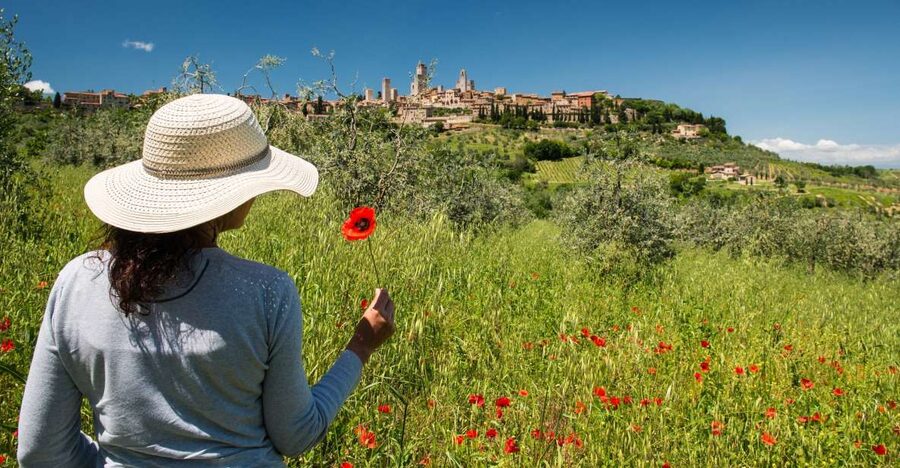 From Florence: Tuscany Highlights Full-Day Tour - Languages and guide experience across the day