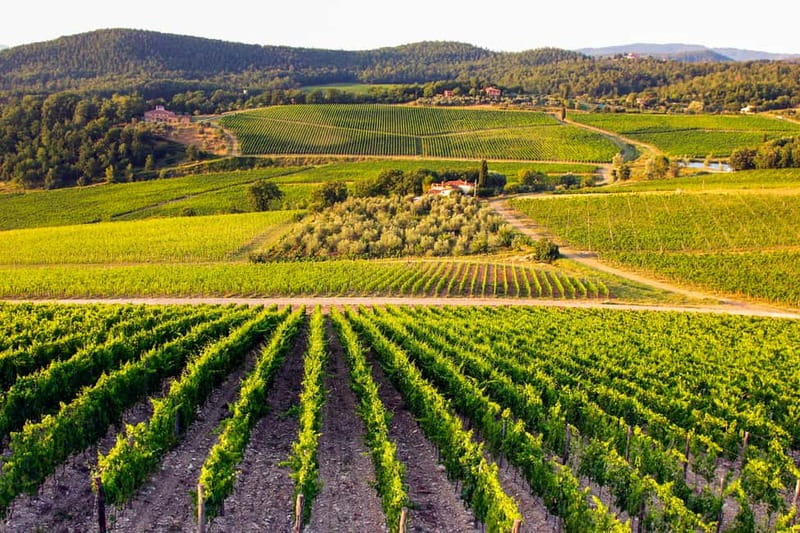 From Florence: Tuscany Wine & Food Tour with Guide - Final Stop at a Family-Owned Villa: Garden Views and Product Tasting