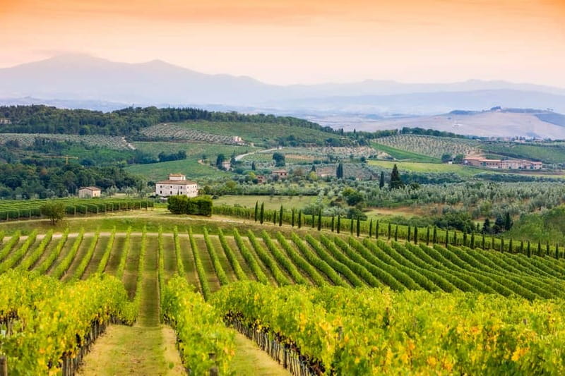 From Florence: Tuscany Wine & Food Tour with Guide - Guides and Drivers: Where This Tour Gets Its Personality