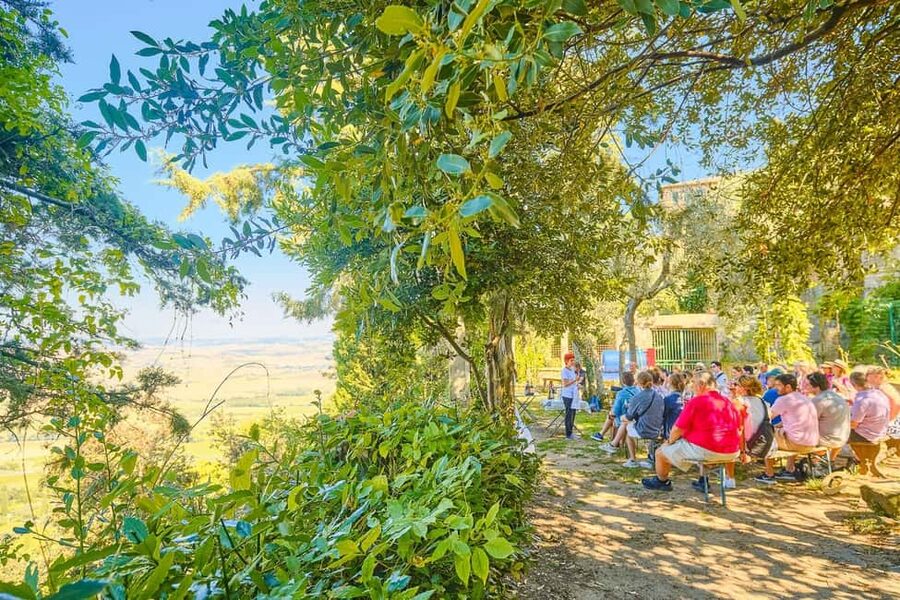 From Florence: Val D'Orcia Tour with Wine Tasting - Pienza: Renaissance streets plus Pecorino cheese tasting