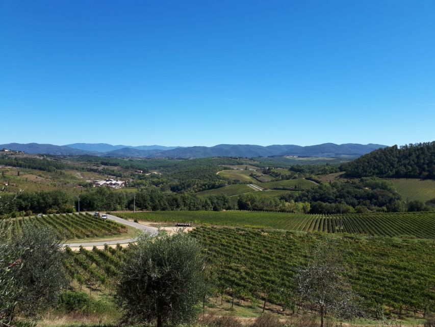 From Florence: Vintage Fiat 500 Chianti & Tuscany Wine Tour - Why a vintage Fiat 500 works better than a bus