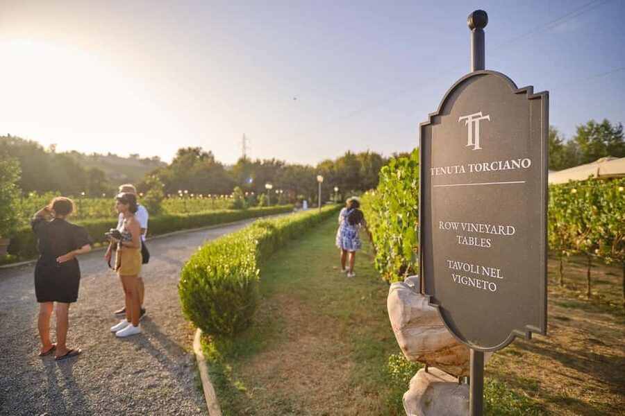 From Florence: Wine Tasting and Dinner in Chianti Vineyards - The drive out of Florence: when the air conditioning matters