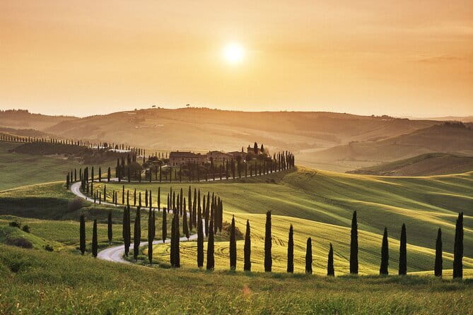 Full Day PRIVATE Guided Tour in Val D'Orcia Region - A Private Minivan Day From Florence to Val dOrcia