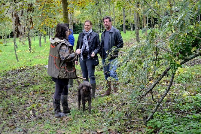 Full-Day Small-Group Truffle Hunting in Tuscany with Lunch - Key highlights you will feel on the day