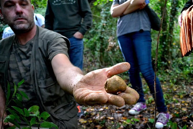 Full-Day Small-Group Truffle Hunting in Tuscany with Lunch - Price and value: is $405.30 per person worth it?