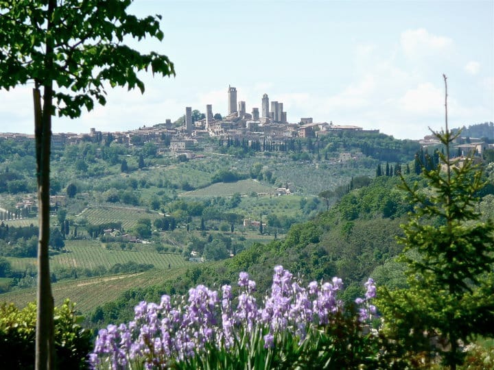 Full-Day Tour of Tuscany from Florence-small group up 8 pax - San Gimignano: Towers, UNESCO Setting, and Gelato After the Climb