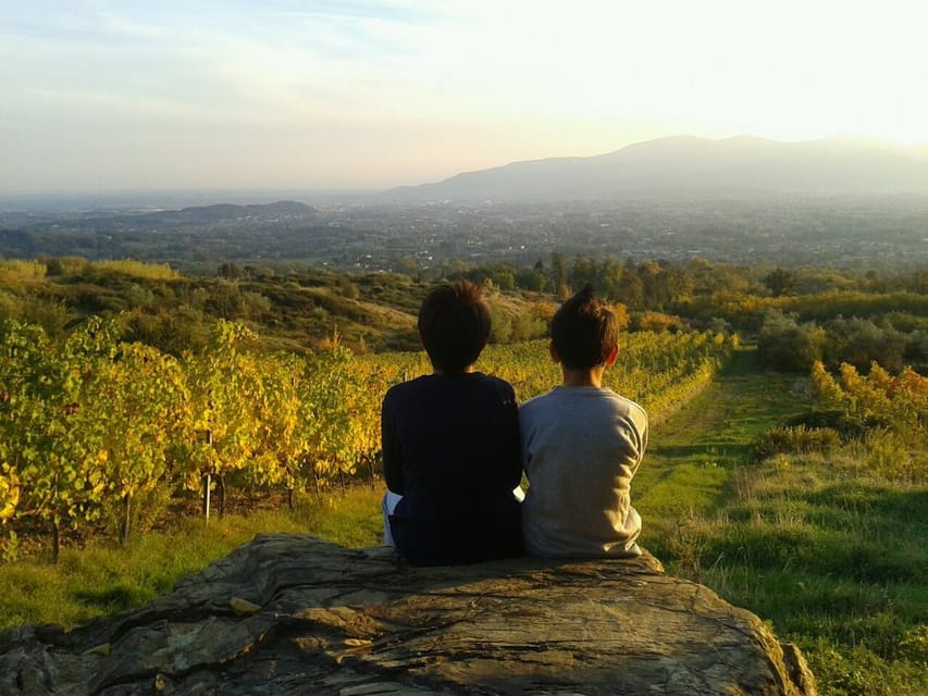 Full-Day Tour of Tuscany from Florence-small group up 8 pax - Price and Value: Is $589 for Tuscany Day Trip a Good Deal?